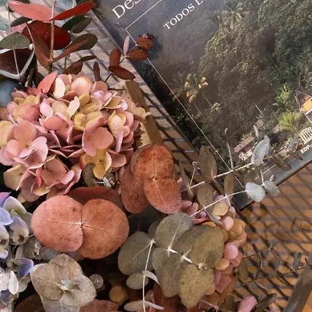 Treixadura * Pincelo